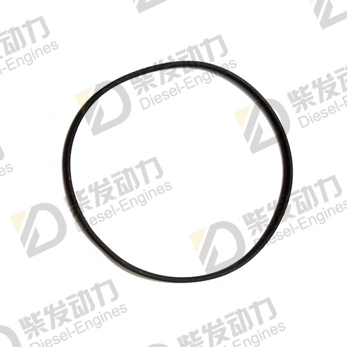 Gasket 413619